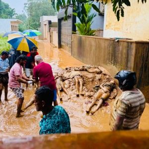 81ff6b1a-aebd-45bc-9c19-7c57823dd199