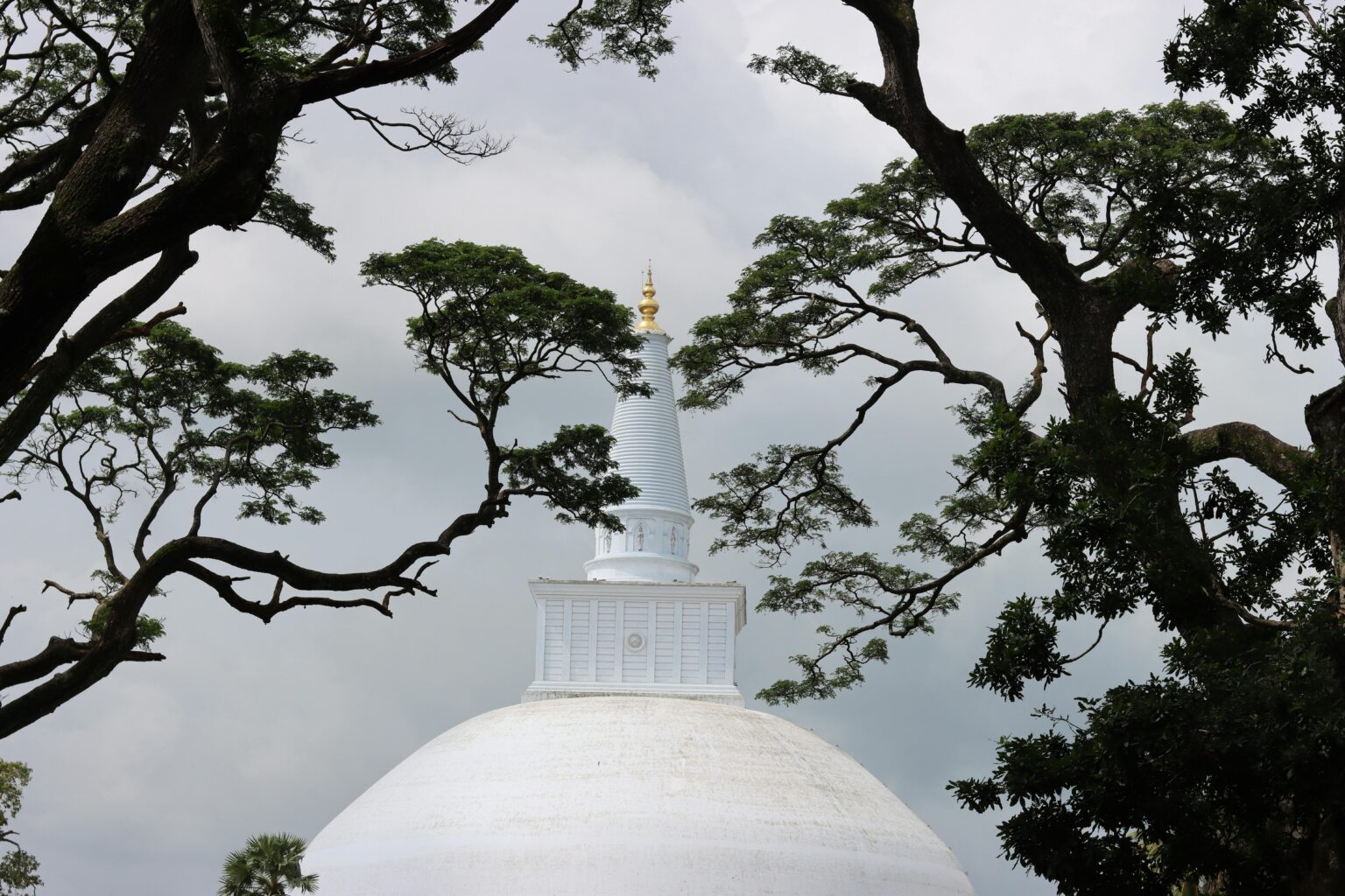 The iconic Ruwanweli Maha Seya stupa framed by tree branches in Anuradhapura, Sri Lanka.