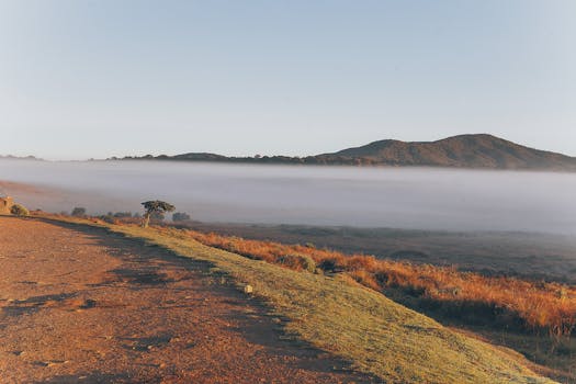 Stunning misty landscape at sunrise in Horton Plains, Sri Lanka with mountains and grassland.