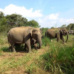 0ccfc71b-35bb-4e9f-b79a-58636b0505ad