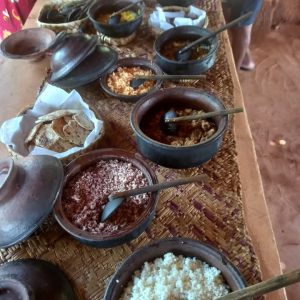 17a59081-4b78-449c-9649-0591365dd1c4