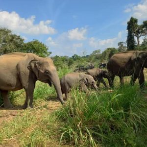 21e4a724-8f18-4d56-a7d7-f330aed44740