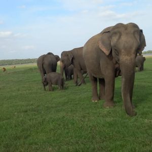 2e3903f6-c4bb-450c-b7b5-1626fabb5640