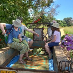 30596df2-7498-494a-973c-2b394932402f