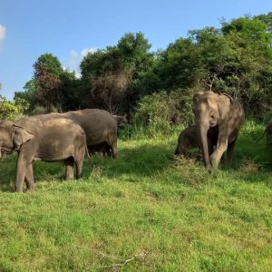 397ae293-d464-4ae2-b237-49dbb12872c2