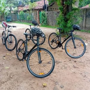 41aa001d-bedf-4b72-b3b8-8be41f50c3ef