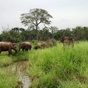 6a0d9b14-6f07-4081-9975-963e52ce4f9d