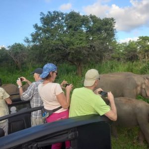 7fded354-21cb-4be9-bc31-37abd82ef6f4