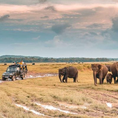 Kaudulla-National-Park-safari
