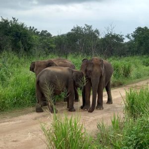 b4c8a364-e1c2-4f9d-8737-17c198f66605