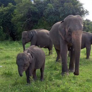 bb8f7690-dc05-4f3f-83b3-eb250657a0dc