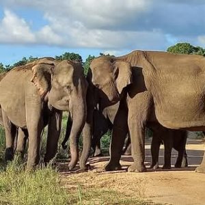 bde6e3df-3245-48d1-9f82-c610b5b70a46