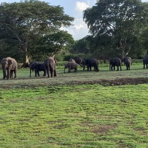 c68ca35c-6179-4be9-a005-2415be003812