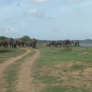 c82e5982-b6a6-4268-9c98-d3c590663789