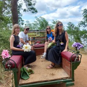 cab0f19a-4f76-42ae-84cd-fb3351e81bcf