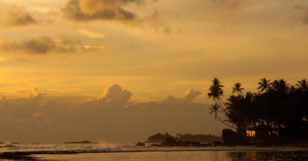 Golden sunset with palm trees and clouds over the tranquil ocean in Unawatuna, Sri Lanka.