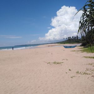 732e0a6e-5285-41de-8bf5-14b8dbd0ec37
