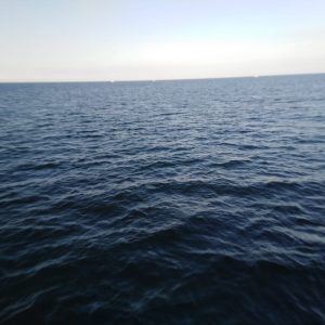 9d87525d-4c7c-4508-81fc-3f2fc7db6894