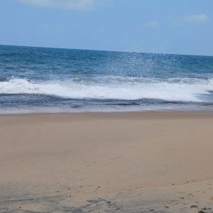 d8476d96-574c-43a7-9e09-bc5a23492e8c
