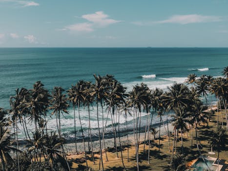Picturesque aerial view of turquoise waving sea washing sandy shore with tropical palms on resort under blue sky
