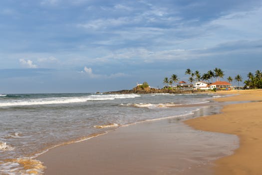 Tranquil Bentota Beach scene with palm trees, sandy shore, and gentle waves in Sri Lanka.