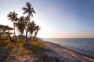 "To sit in the shade on a fine day and look upon verdure is the most perfect refreshment"