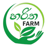 Seethawaka Haritha Farm