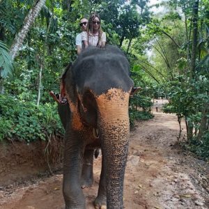 53b75e3b-e652-4d41-ab94-f10c4481689b