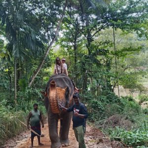 7aef18a5-a634-4158-9105-3dcad6f9c7a6