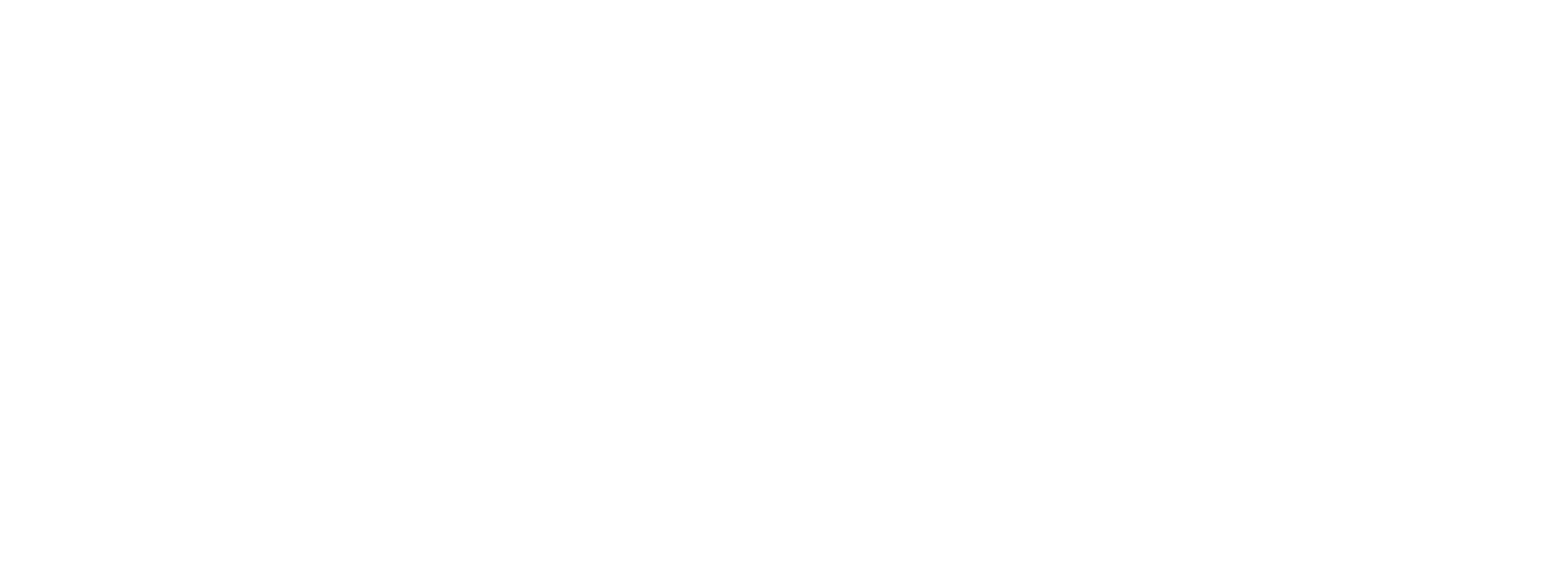 ICOM LLC